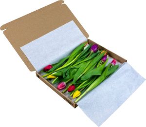 Tulpen.nl Gemengde brievenbus tulpen