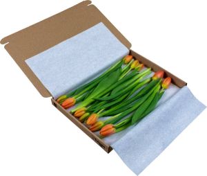 Tulpen.nl Oranje brievenbus tulpen