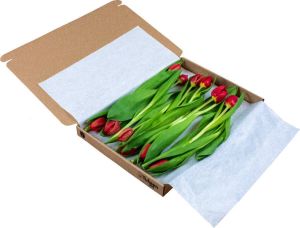 Tulpen.nl Rode brievenbus tulpen