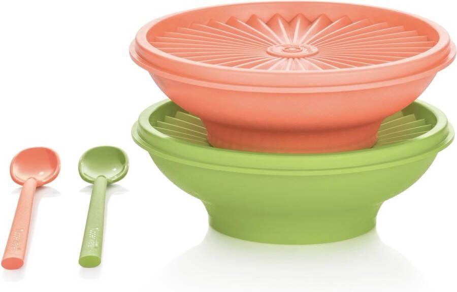 Tupperware 2 zonnekomen met lepels