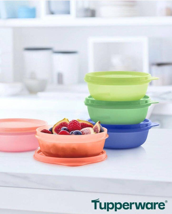 Tupperware 5 ruimtekommen 300ml