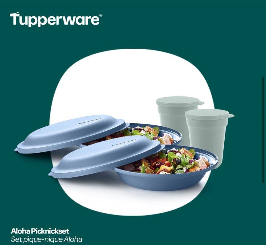 Tupperware Aloha picknickset