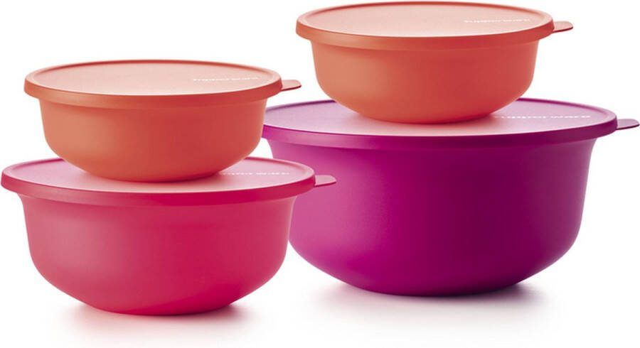 Tupperware Aloha set (4)