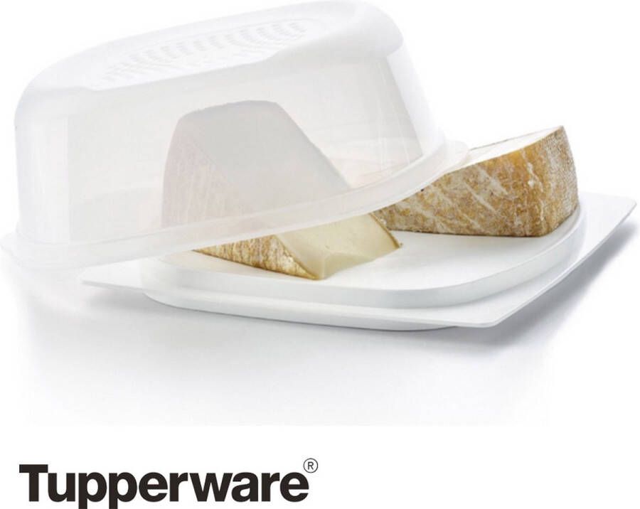 Tupperware CheeseSmart Kaasbewaardoos Met CondensControl-systeem 21 2 x 20 4 x 9 5 cm