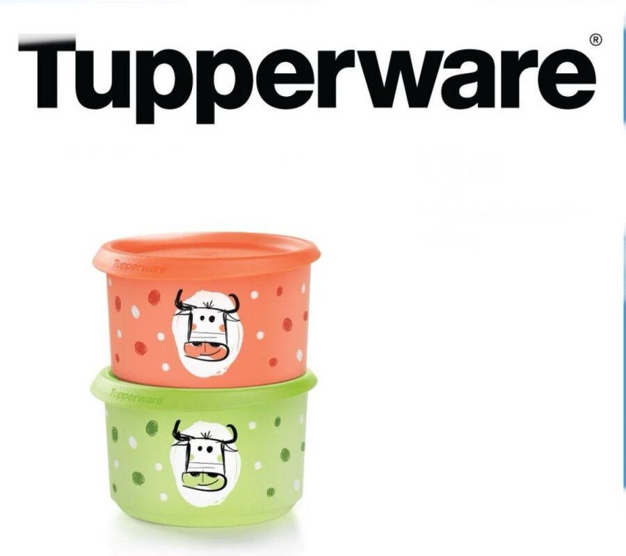 Tupperware Cow party dozen