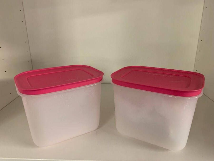 Tupperware diepvriesdozen set van 2 (1.1 liter inhoud per stuk)