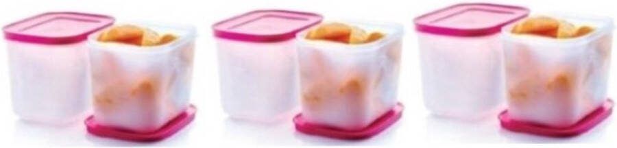 Tupperware Igloo Diepvriesbakjes 6 stuks diepvries bakjes doosjes