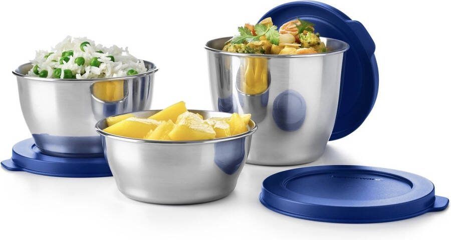 Tupperware Metal Bowls