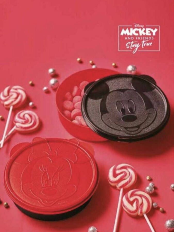 Tupperware mickey & minnie