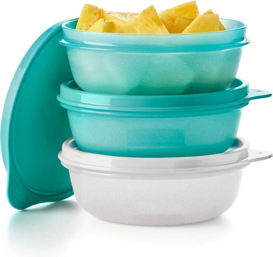 Tupperware ruimteschaaltjes 300 ml (glittereditie 2023)