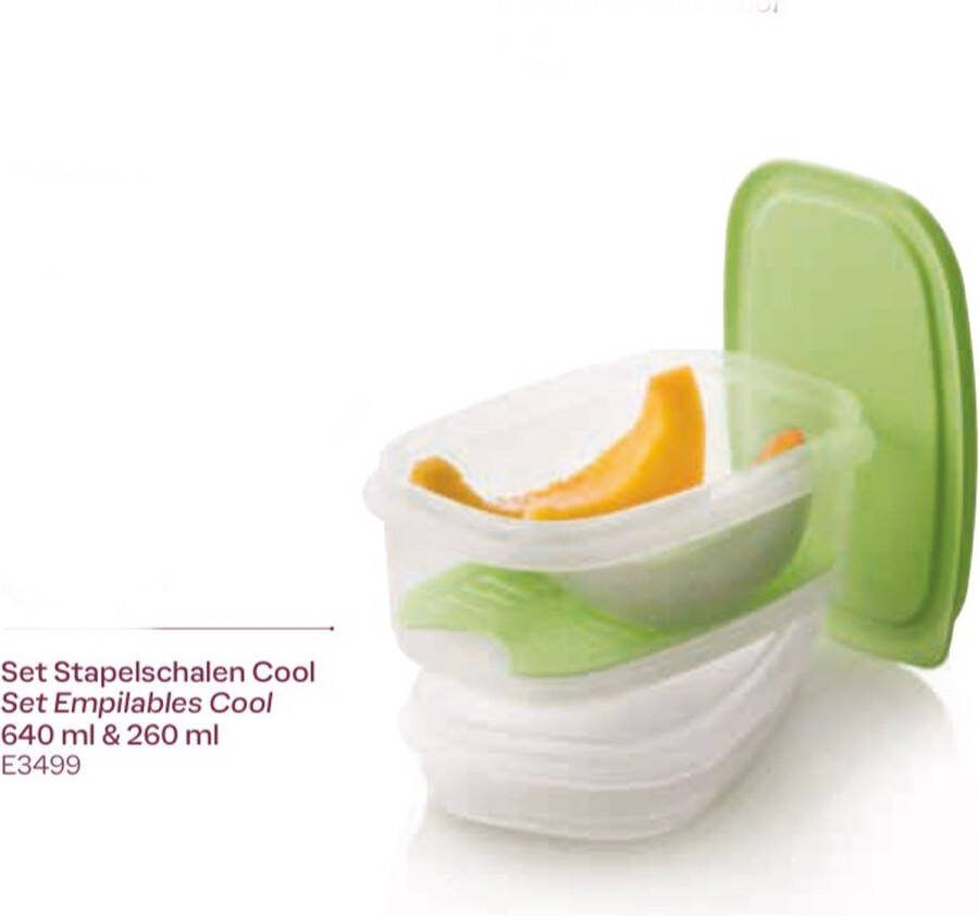 Tupperware set stapelschaal cool 640ml-260ml