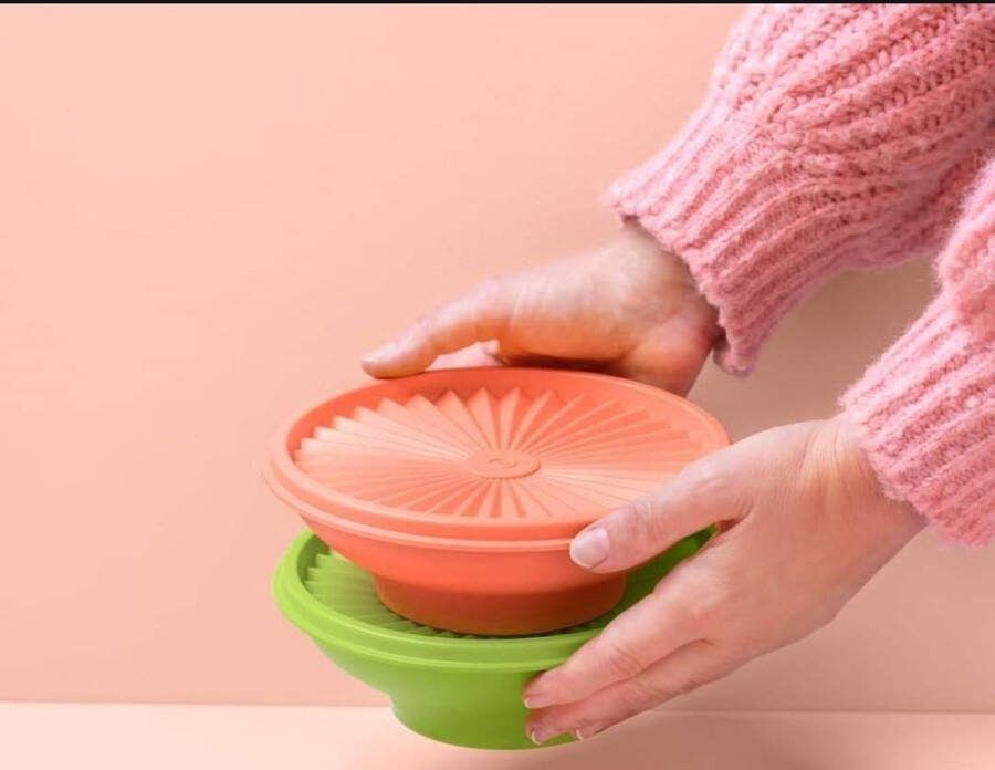 Tupperware set van 2 zonnedekschalen zonnekommen