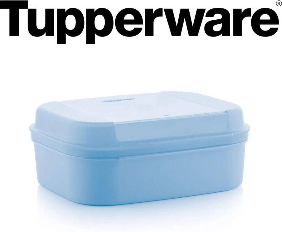 Tupperware varia- scharnierdoos lichtblauw