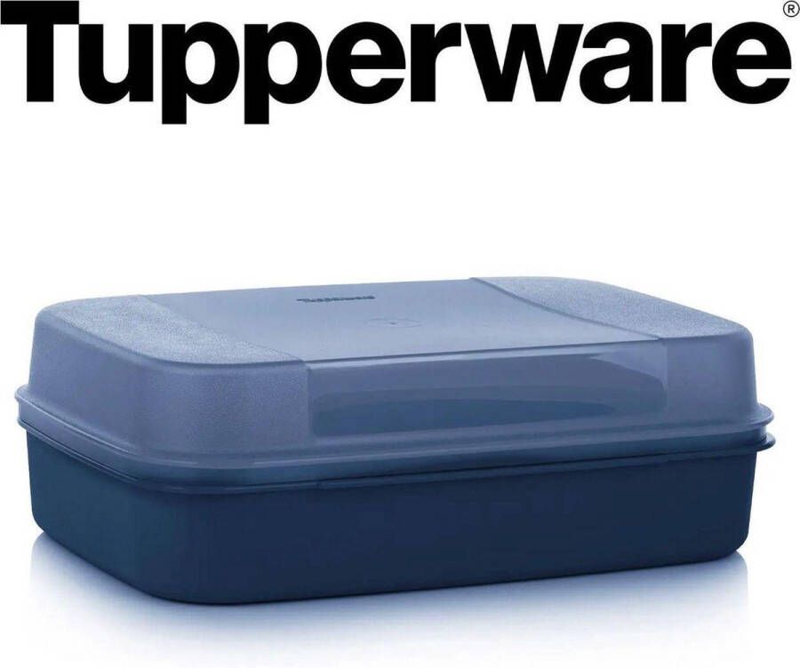 Tupperware variadoos blauw