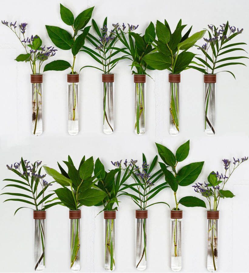 TWILG Magnetische Muurvaasjes 12 Stuks Stek vaasjes Muurvaasjes glas Cognac leer Incl. N52 magneten Glazen Reageerbuizen Zwevend Stekstation Hydroponie Wandvaas Droogbloemen
