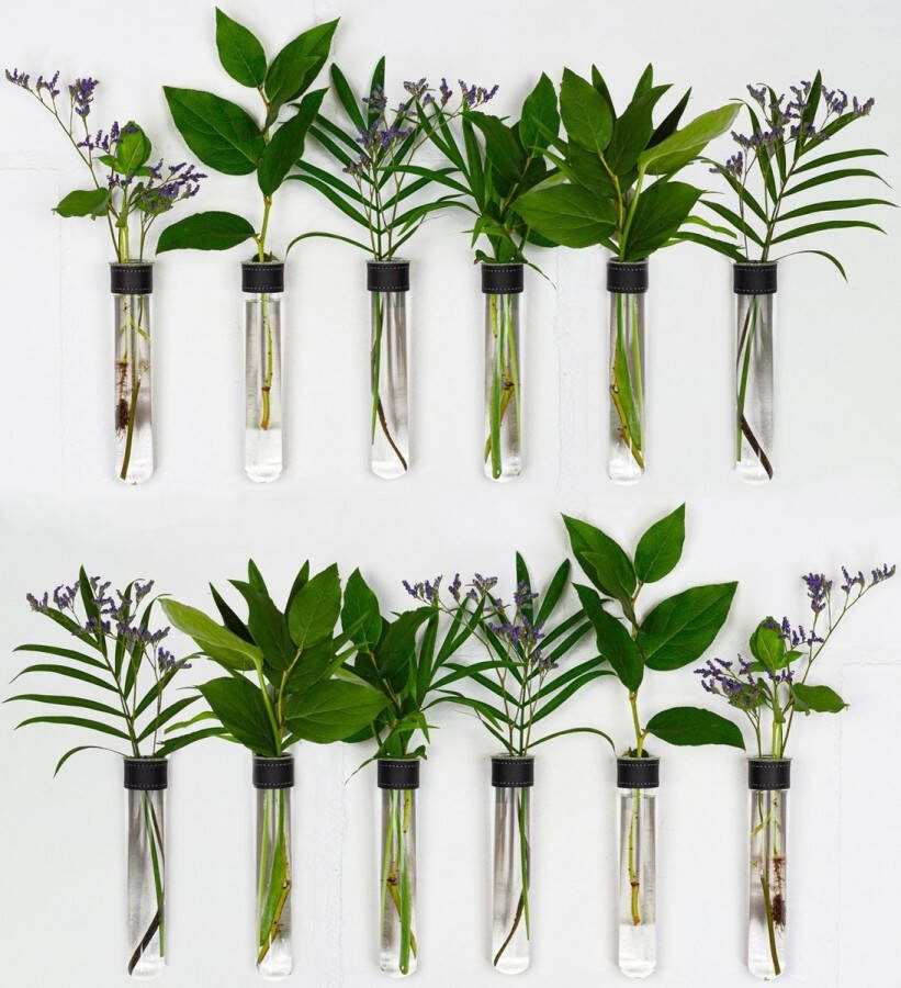 TWILG Magnetische Muurvaasjes 12 Stuks Stek vaasjes Muurvaasjes glas Zwart leer Incl. N52 magneten Glazen Reageerbuizen Zwevend Stekstation Hydroponie Wandvaas Droogbloemen