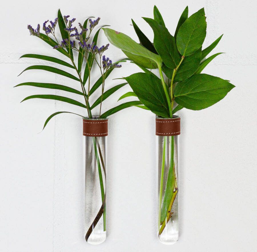 TWILG Magnetische Muurvaasjes 2 Stuks Stek vaasjes Muurvaasjes glas Cognac leer Incl. N52 magneten Glazen Reageerbuizen Zwevend Stekstation Hydroponie Wandvaas Droogbloemen