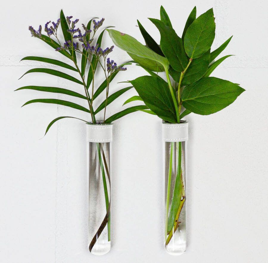 TWILG Magnetische Muurvaasjes 2 Stuks Stek vaasjes Muurvaasjes glas Wit leer Incl. N52 magneten Glazen Reageerbuizen Zwevend Stekstation Hydroponie Wandvaas Droogbloemen