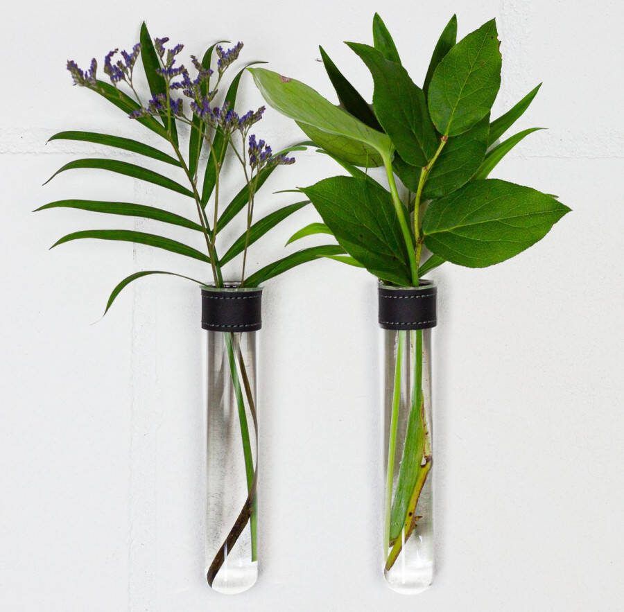 TWILG Magnetische Muurvaasjes 2 Stuks Stek vaasjes Muurvaasjes glas Zwart leer Incl. N52 magneten Glazen Reageerbuizen Zwevend Stekstation Hydroponie Wandvaas Droogbloemen