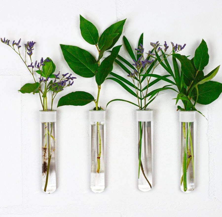 TWILG Magnetische Muurvaasjes 4 Stuks Stek vaasjes Muurvaasjes glas Wit leer Incl. N52 magneten Glazen Reageerbuizen Zwevend Stekstation Hydroponie Wandvaas Droogbloemen