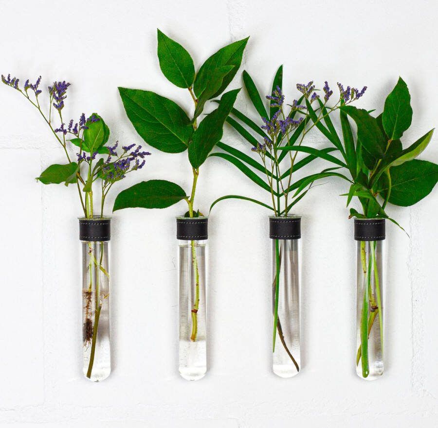 TWILG Magnetische Muurvaasjes 4 Stuks Stek vaasjes Muurvaasjes glas Zwart leer Incl. N52 magneten Glazen Reageerbuizen Zwevend Stekstation Hydroponie Wandvaas Droogbloemen