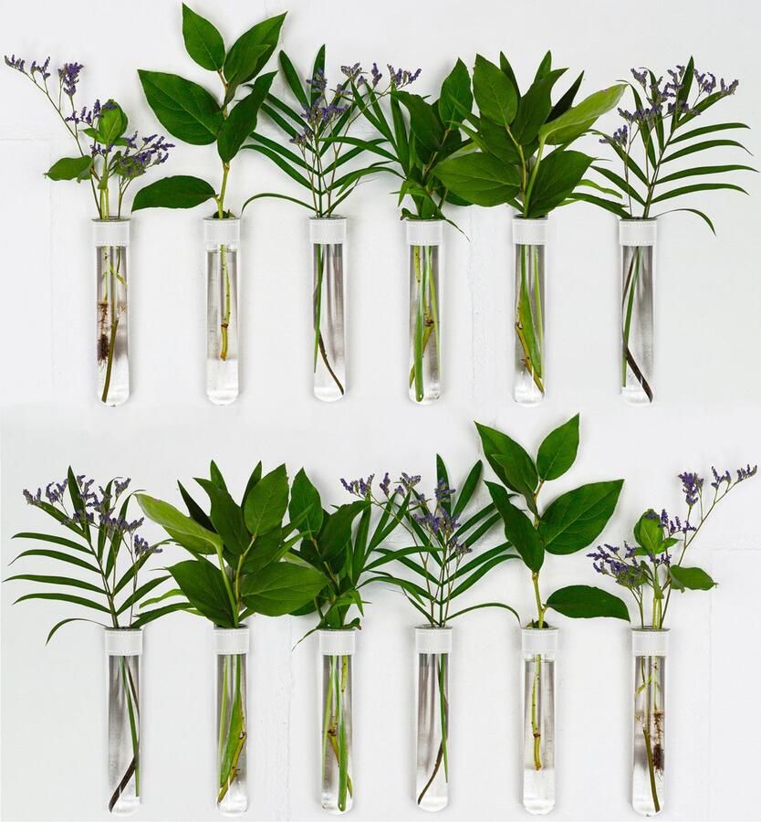 TWILG Magnetische Muurvaasjes 12 Stuks Stek vaasjes Muurvaasjes glas Wit leer Incl. N52 magneten Glazen Reageerbuizen Zwevend Stekstation Hydroponie Wandvaas Droogbloemen