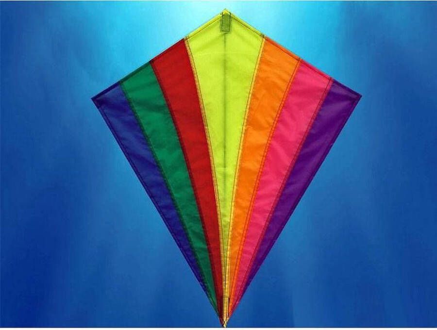 Gerkimex Diamant vlieger rainbow 82x88cm