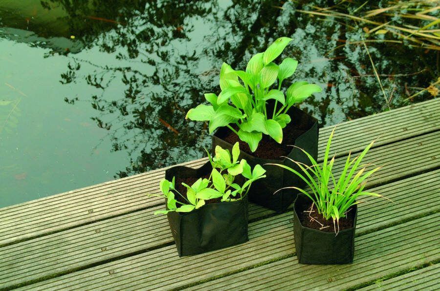 Ubbink Care Plant