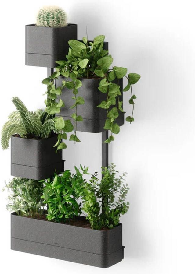 UMBRA Cubiko wandplantenbak