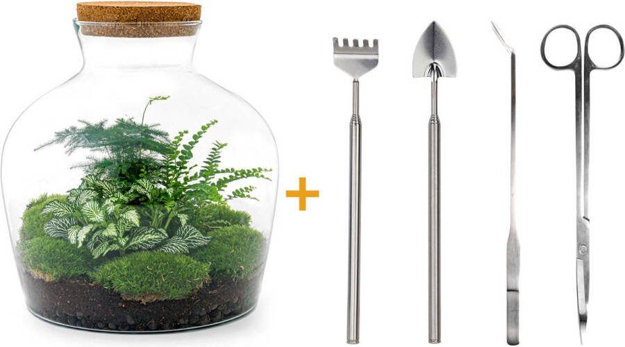 UrbanJngl Terrarium Fat Joe Green ↑ 30 cm Ecosysteem plant Kamerplanten DIY planten terrarium Mini ecosysteem + Hark + Schep + Pincet + Schaar