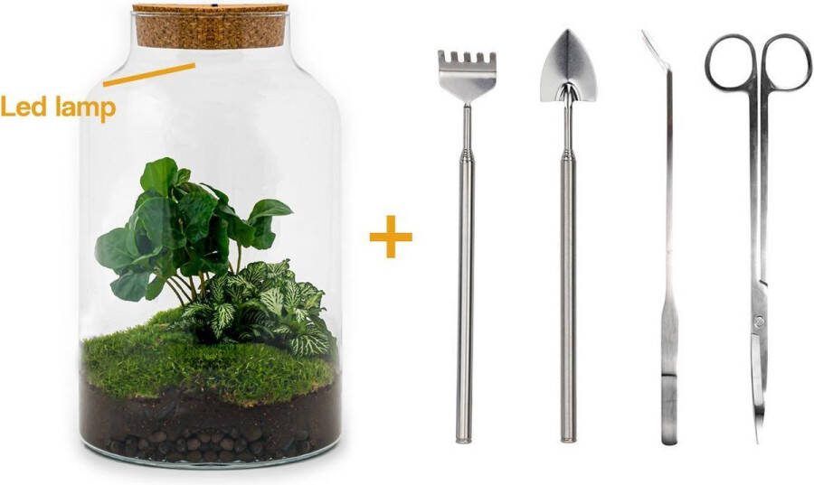 UrbanJngl Terrarium Milky LED Coffea ↑ 26 5 cm Ecosysteem plant Kamerplanten DIY planten terrarium Mini ecosysteem
