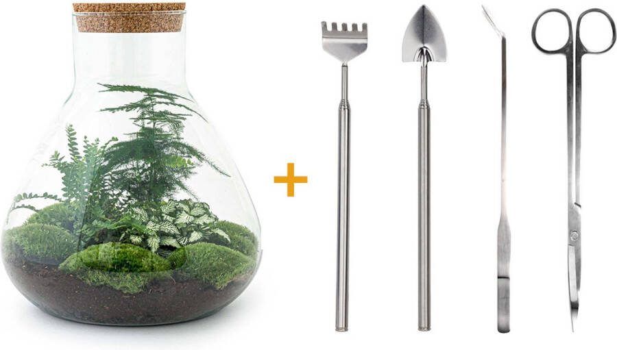 UrbanJngl Terrarium Sam XL ↑ 31 cm Ecosysteem plant Kamerplanten DIY planten terrarium Mini ecosysteem Inclusief Hark + Schep + Pincet + Schaar
