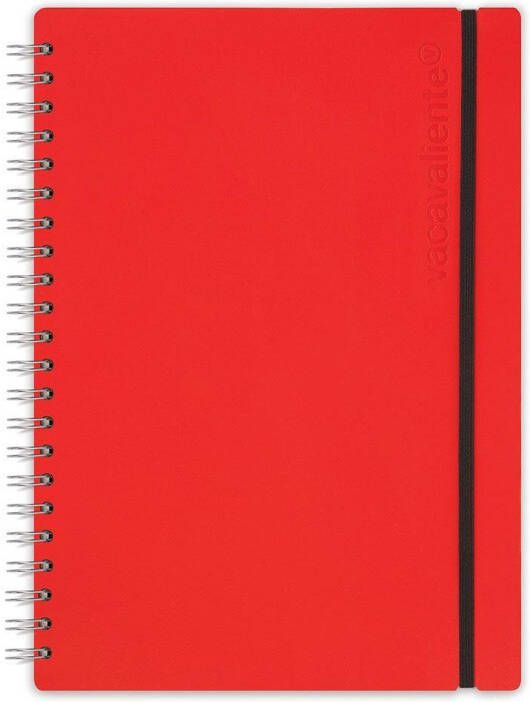 Vacavaliente Work & Planners Studio Notebook A4
