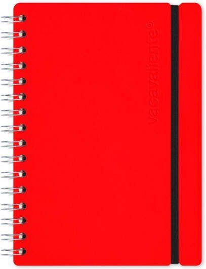 Vacavaliente Work & Planners Studio Notebook A5