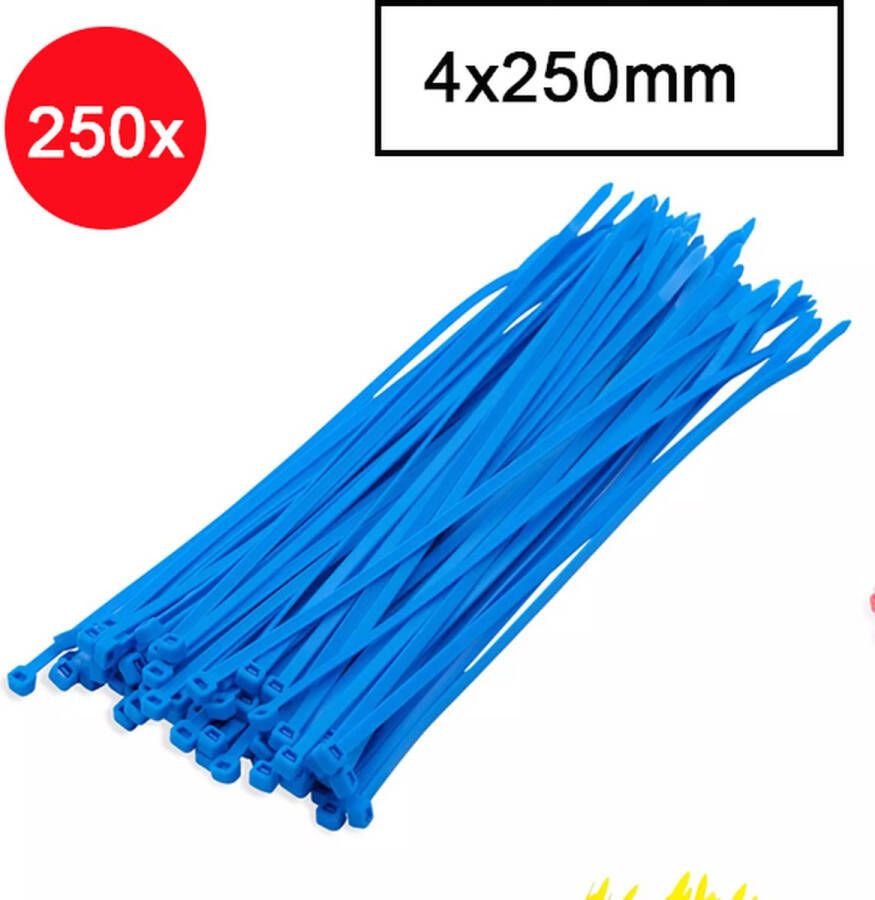 VAEM Kabelbinders Tyraps Tie wraps Kabel organizer 4x250mm 250 stuks Blauw