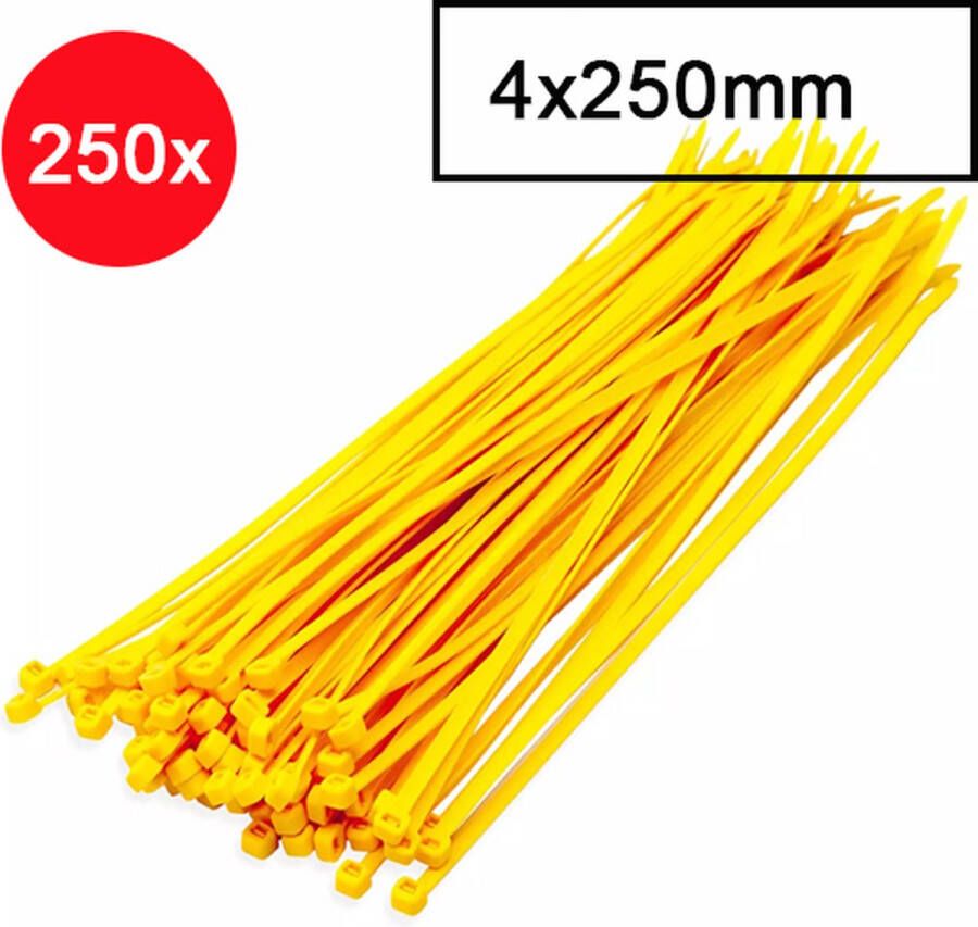 VAEM Kabelbinders Tyraps Tie wraps Kabel organizer 4x250mm 250 stuks geel
