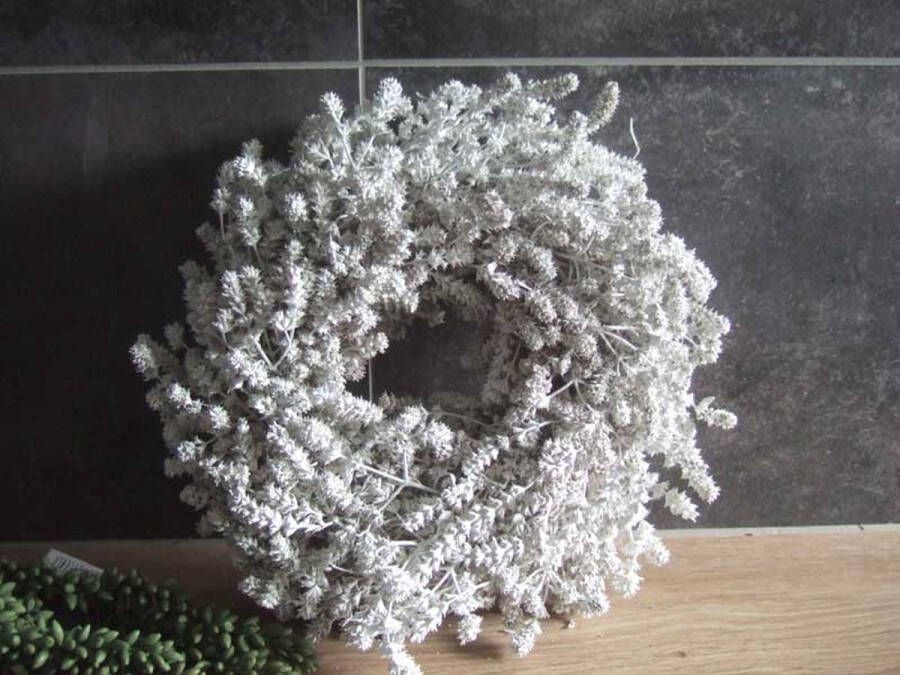 Van der Velde Deltaflowers Witte gedroogde lavendel krans 25 cm