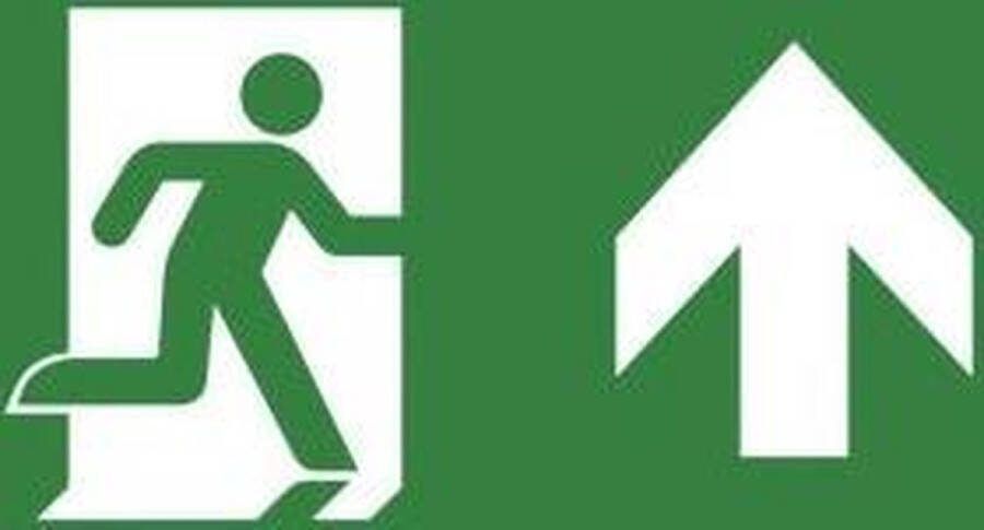 Van Lien Evago Pictogram Noodverlichting 7TCA091350R3947 E3D4P