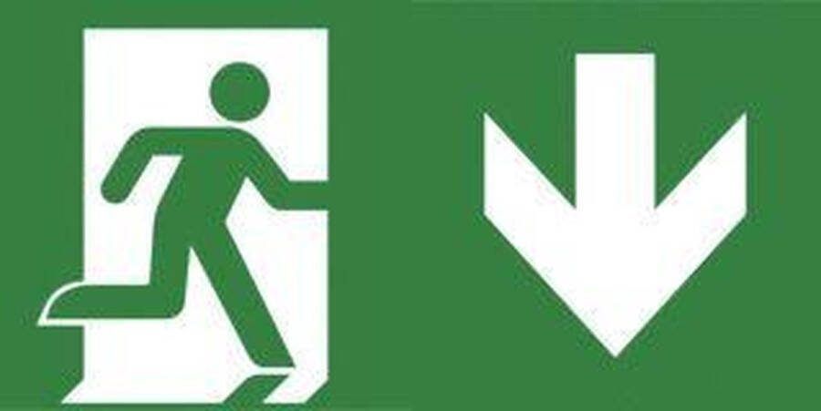 Van Lien Evago Pictogram Noodverlichting 7TCA091350R3950 E3D4S