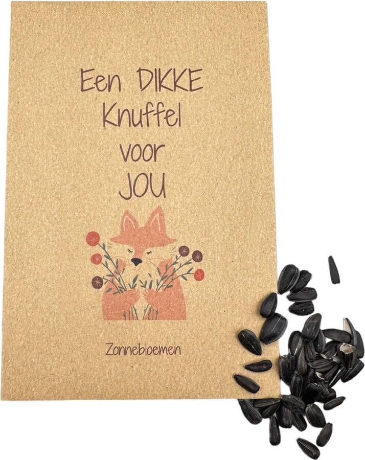 VanKarina 10 stuks een dikke knuffel voor jou zonnebloemen bloemenzaden klein kadootje attentie bloemen bedankje kadootje onder de 3 euro