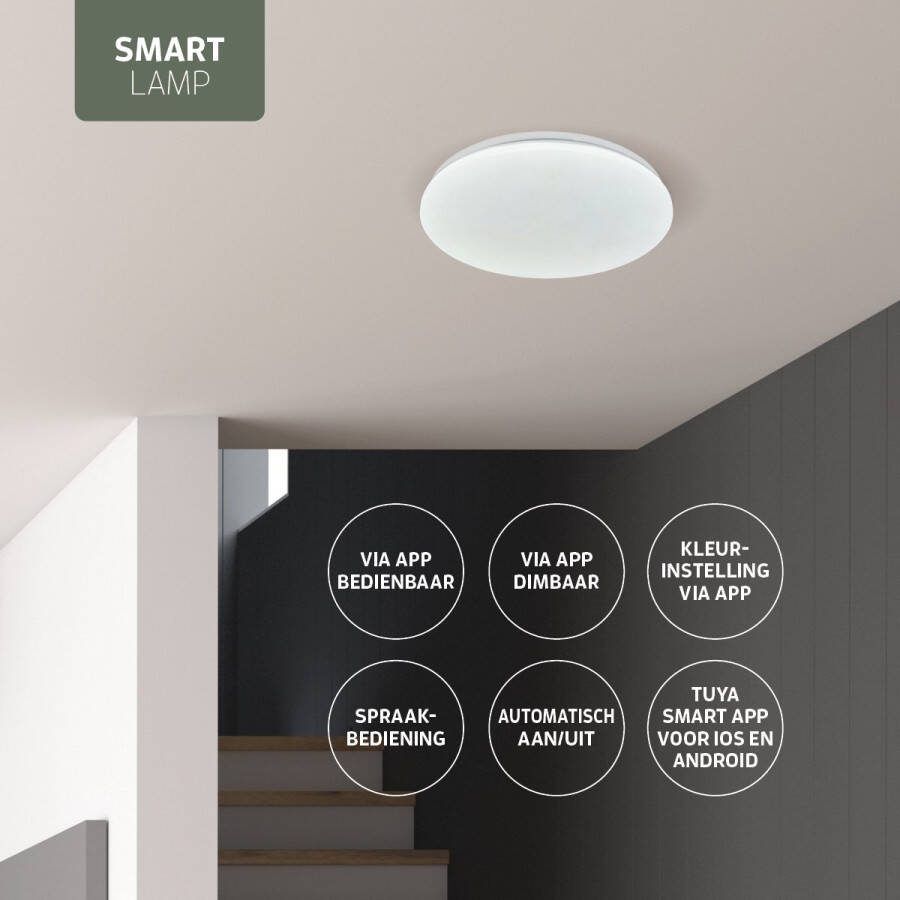 Varin Smart Plafondlamp LED Ø 21cm Witte lamp Tuya Smart app WiFi Google Home Amazon Alexa Plafonniere Ganglamp Plafond lamp hal WC lamp Verlichting kinderkamer Babykamer Toilet Ceiling light Plafoniere Plafondlampen