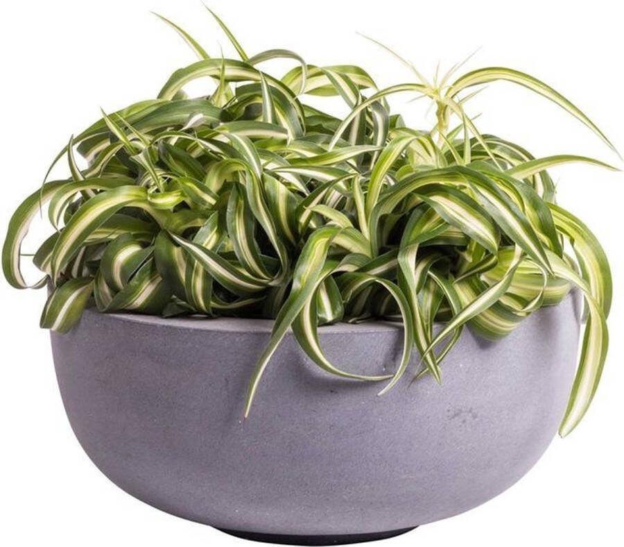 Vase The World Bloempot Ducos mat zwart grijs fiberstone Ø33 x H15 cm Binnen & Buiten