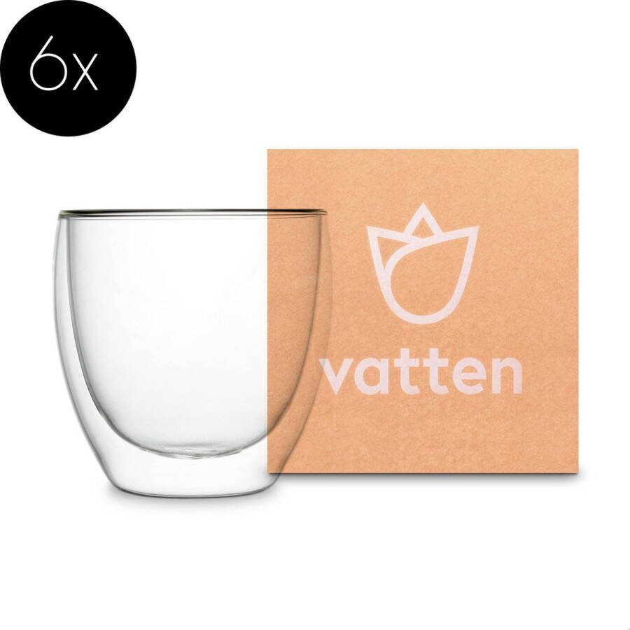 Vatten Dubbelwandige Glazen 6 Stuks 250ml Rond Bol Koffieglazen Cappuccino glazen