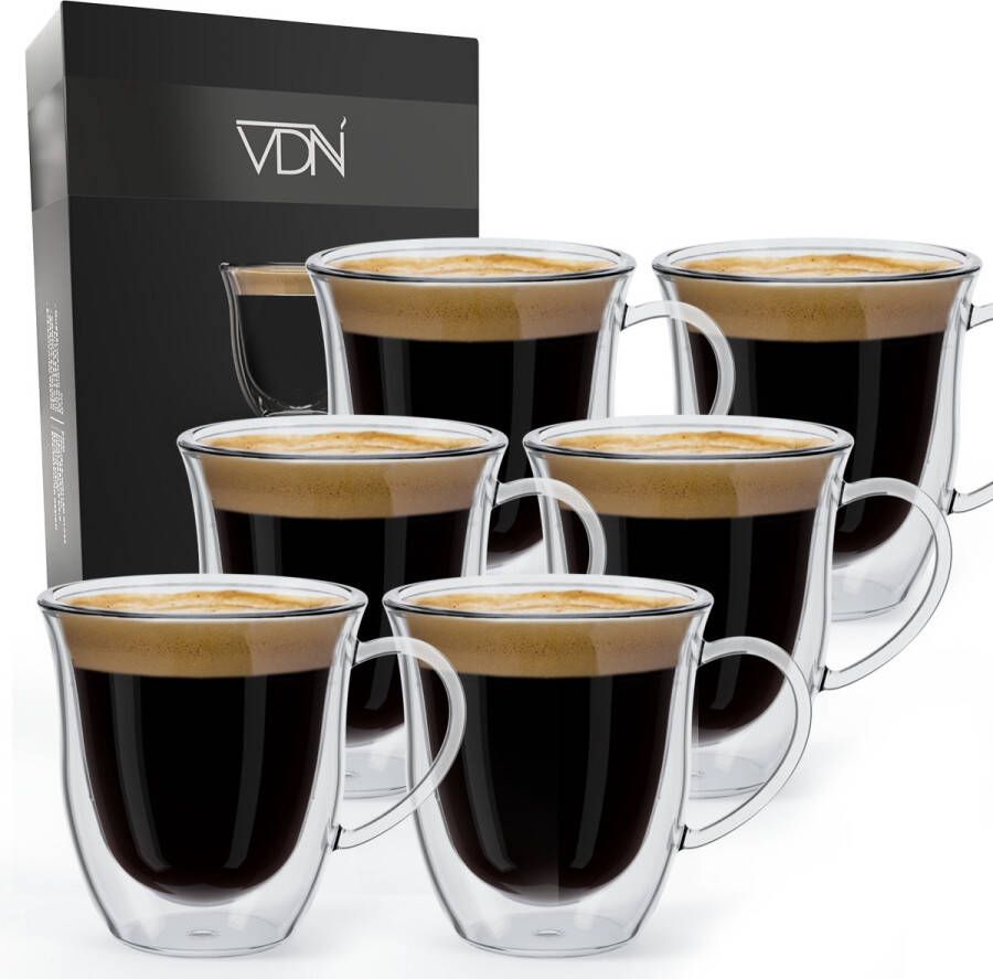 VDN Dubbelwandige theeglazen koffieglazen met oor Cappuccino glazen Warme en koude dranken koffietassen dubbelwandig 250 ML Set van 6