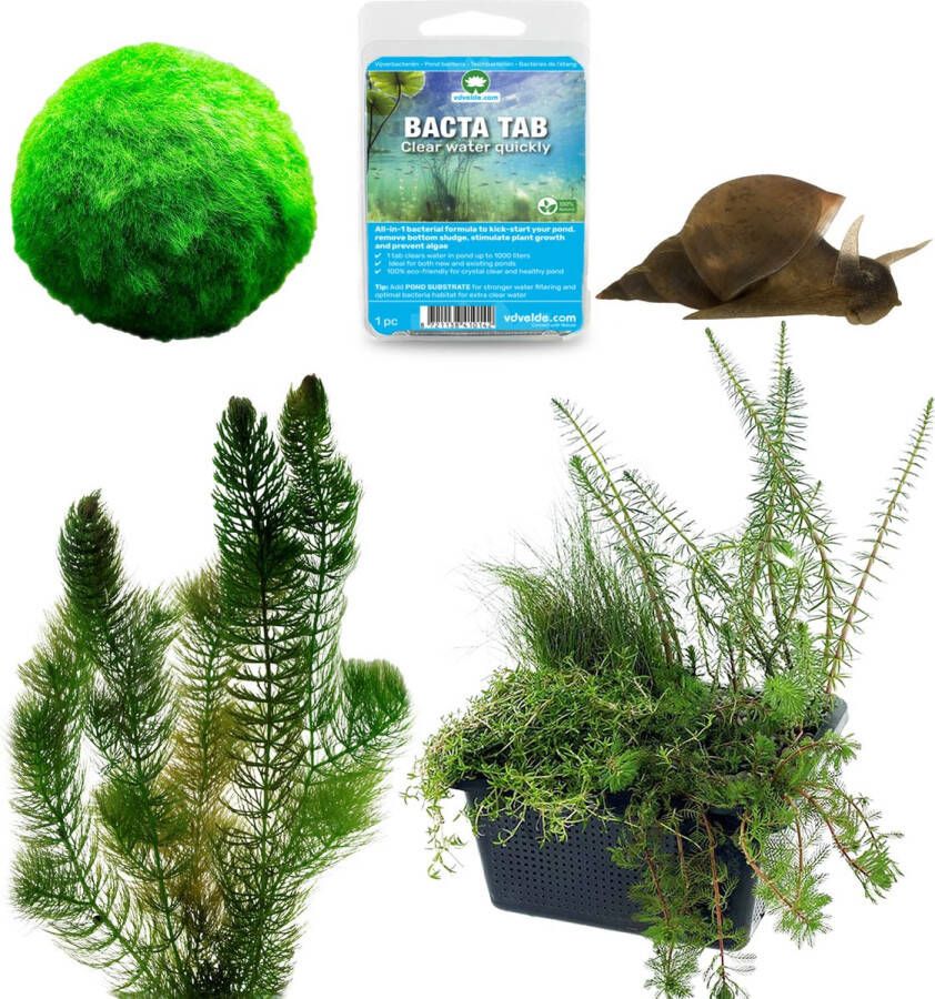 Vdvelde.com Anti Alg Vijver Pakket S Voor 100 400 L Zuurstofplanten + extra's Plaatsing: -1 tot -20 cm