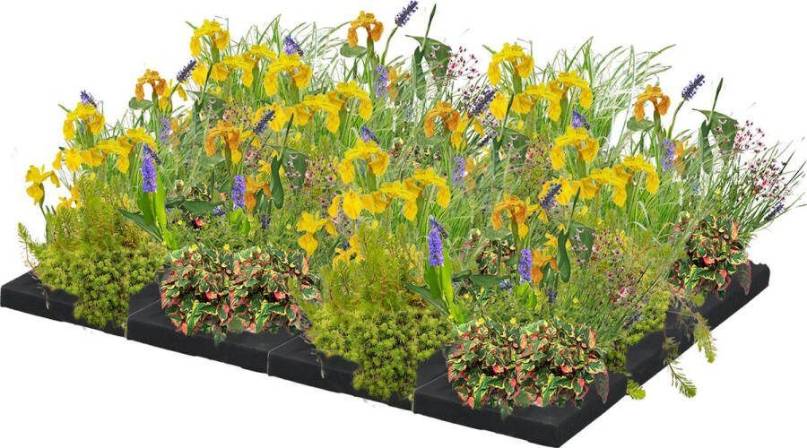 Vdvelde.com Drijvend Planteneiland L 100 cm Waterplanten 48 planten Plaatsing: -0 cm