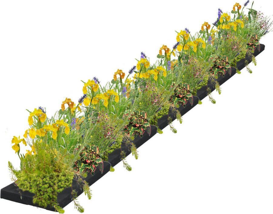 Vdvelde.com Drijvend Plantenfilter L 250 cm Waterplanten 40 planten Plaatsing: -10 tot -20 cm