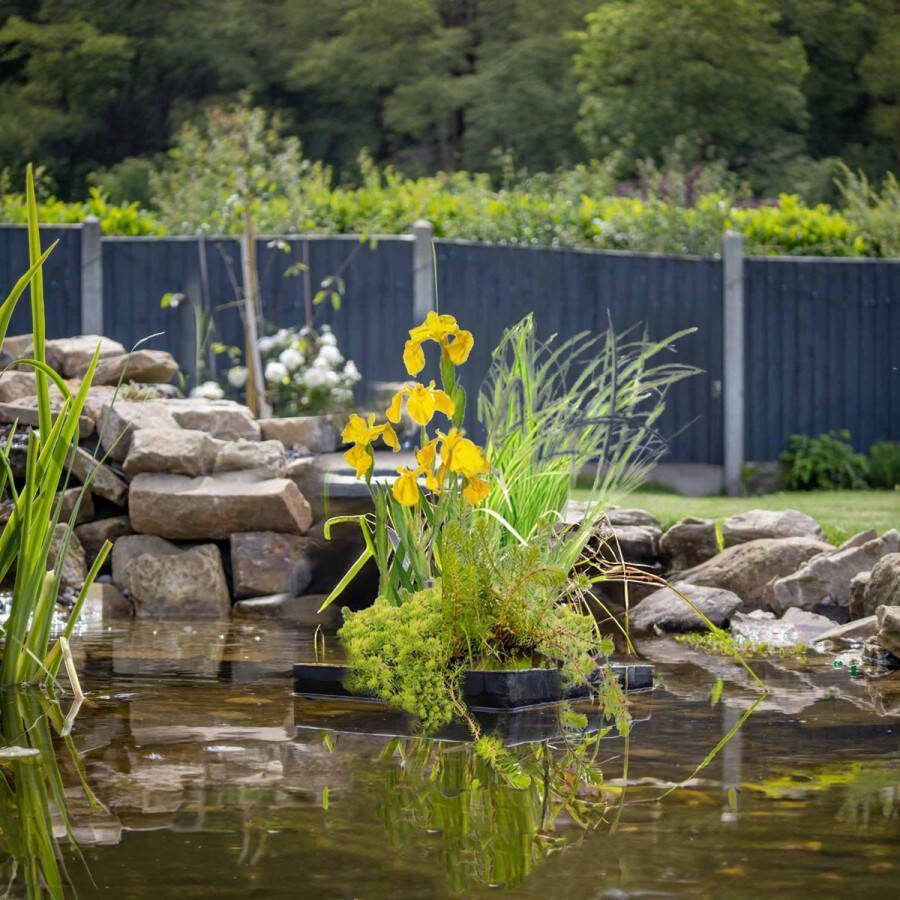 Vdvelde.com Drijvende Waterplanten Eilanden Set 3 stuks Waterplanten 12 planten Plaatsing: -10 tot -20 cm