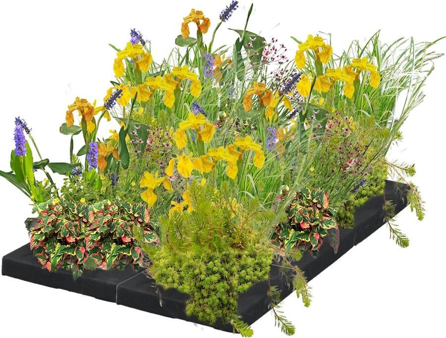 Vdvelde.com Drijvend Planteneiland S 50 cm Waterplanten 24 planten Plaatsing: -0 cm