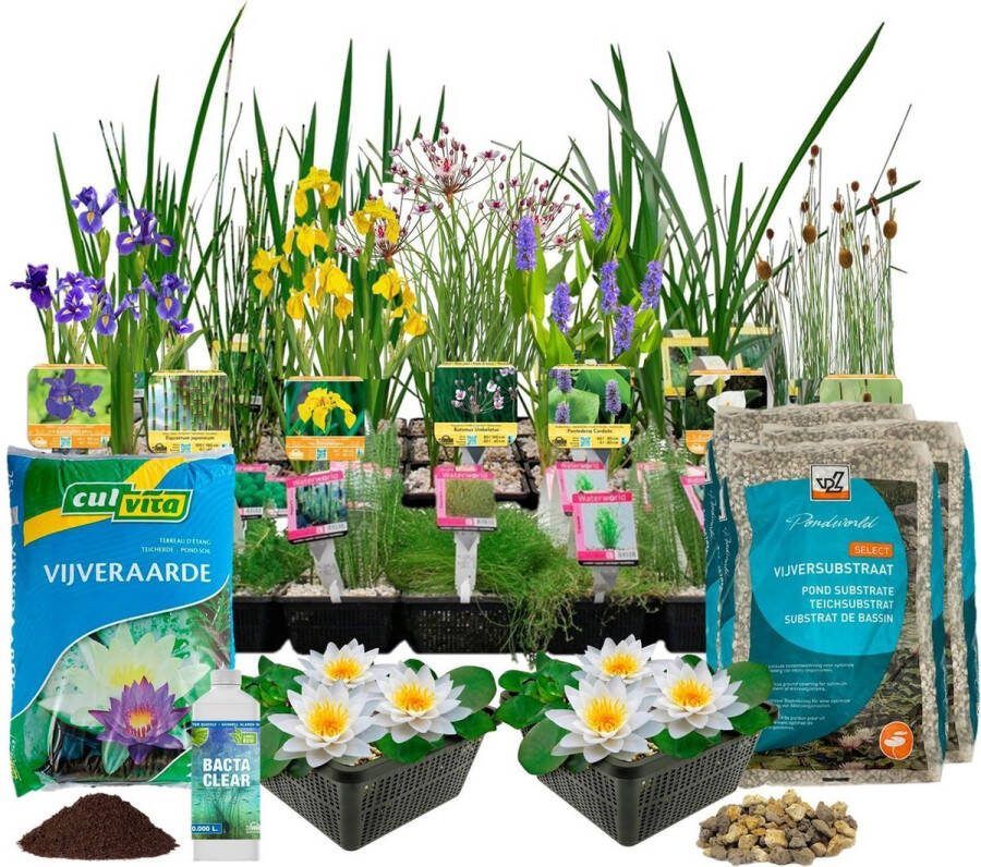 Vdvelde.com Vijverplanten Pakket voor 5000 liter water 93 Winterharde Waterplanten Inclusief Substraat Vijver bacteriën Vijvermanden Vijverplanten klei Afdekgrind en Waterplanten Voeding Van der Velde Waterplanten